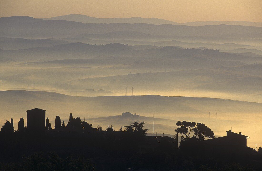 Montalcino die berühmte Weinstadt bei Nebel, Toskana, Italien