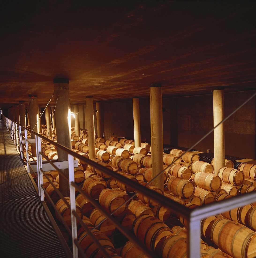 Weinkeller der Hacienda Monasterio, Ribera del Duero, Spanien