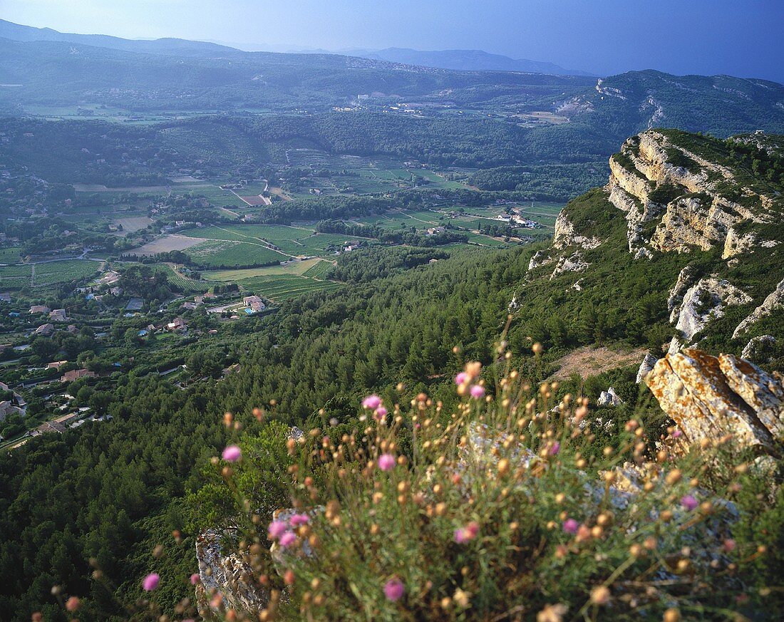 Blick auf Cassis, Provence, Südfrankreich