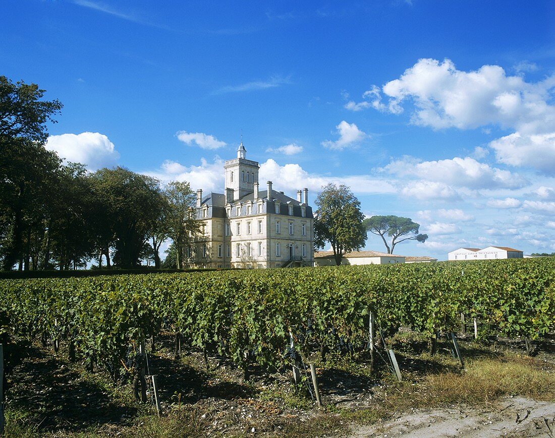 Château Larose-Trintaudon, Haut-Médoc, Médoc, Bordeaux, France
