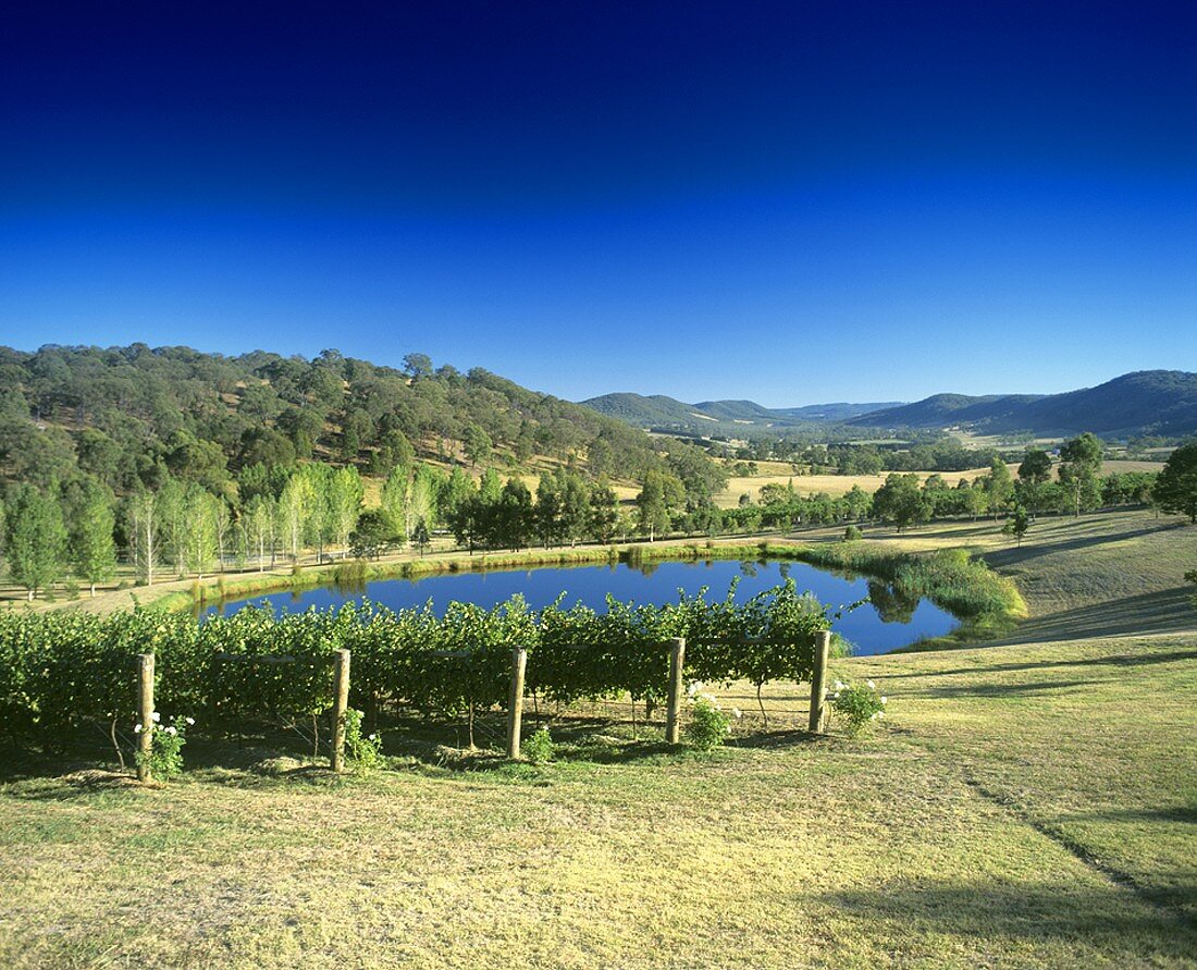 TarraWarra Estate, Yarra Valley, Victoria, Australia