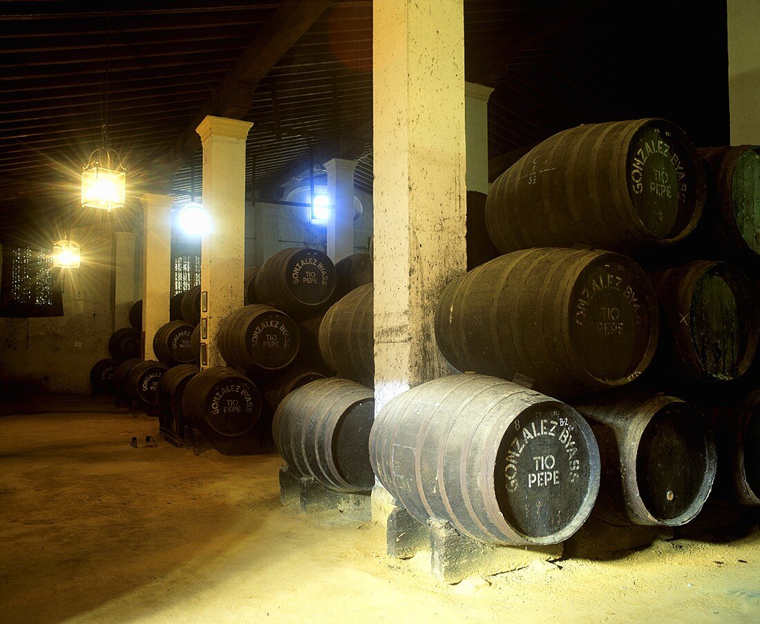 Barrels in store, Gonzalez Byass, Jerez de la Frontera, Spain