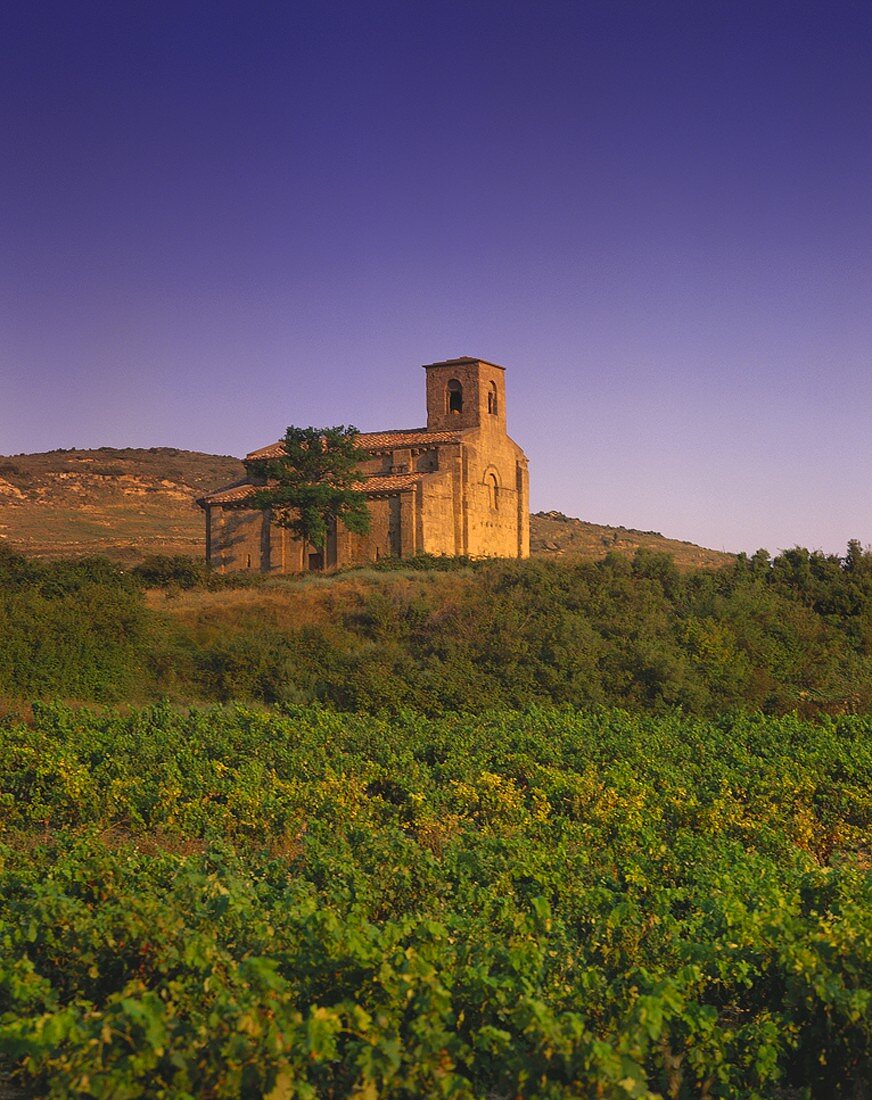 Santa Maria de la Piscina, Peciña, Rioja Alta, Spanien