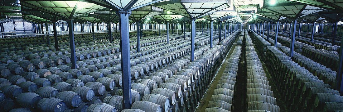 Gonzalez Byass bodega 'Las Copas', Jerez de la Frontera, Spain