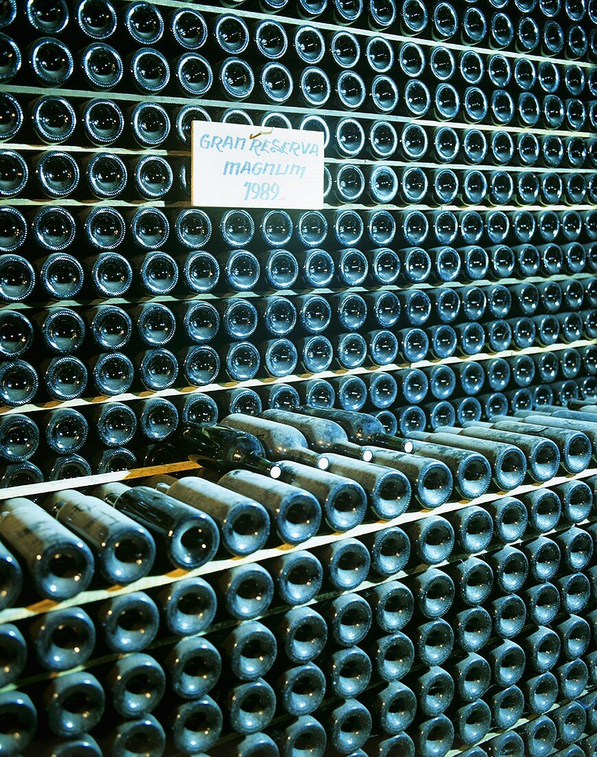 Bodegas Muga, Haro, Rioja Alta, Rioja, Spain