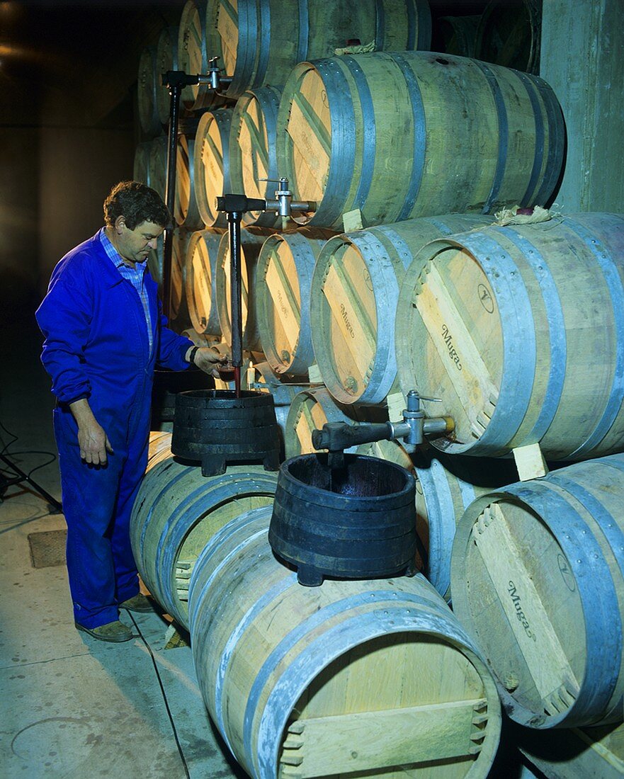 Wein umfüllen, Bodegas Muga, Haro, Rioja Alta, Spanien