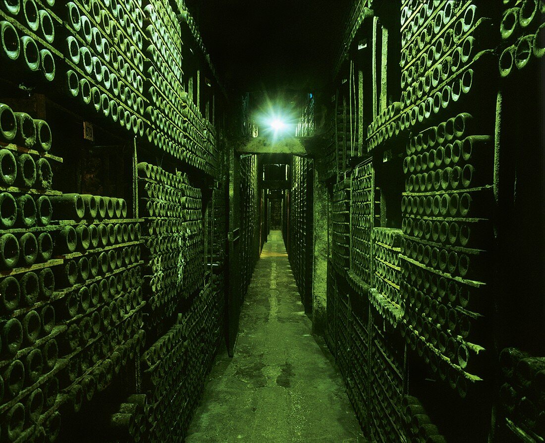 Im Keller von Marqués de Riscal, Elciego, Rioja Alavesa, Spanien