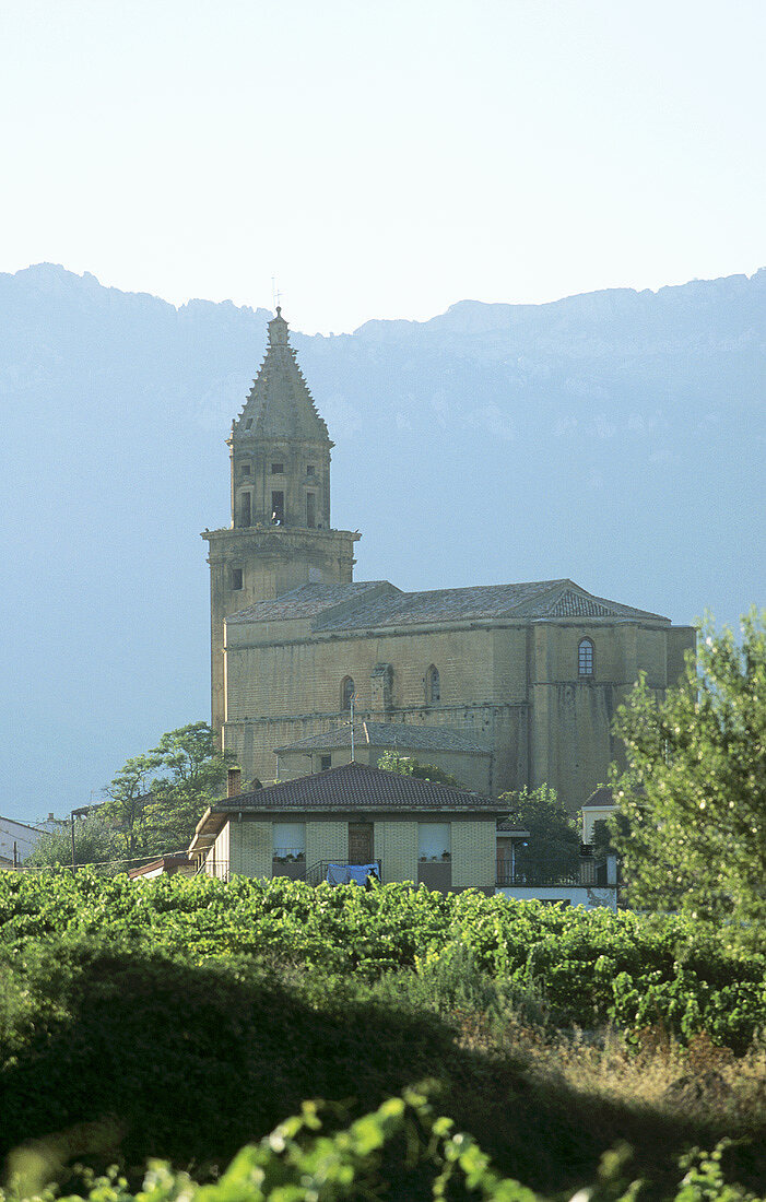 Elvillar, Rioja Alta, Rioja, Spanien