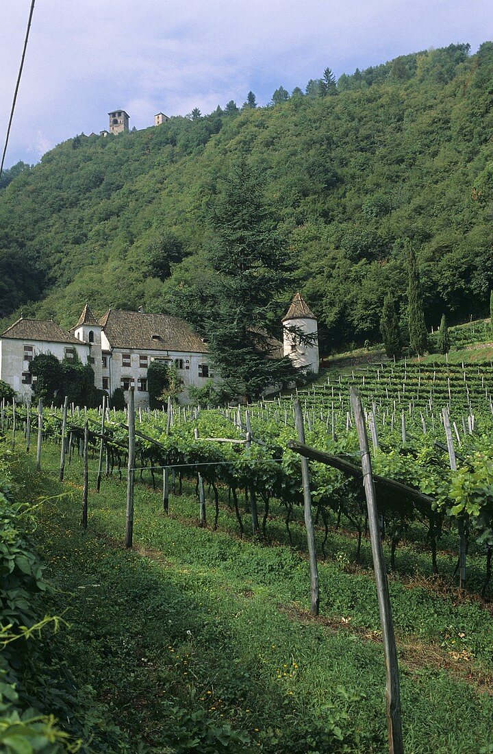 Weingut Castel Schwanburg, Nals, Südtirol, Italien