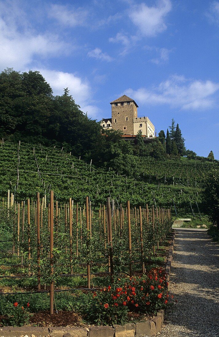 Schloss Korb Wine Estate, Eppan (Appiano), S. Tyrol, Italy