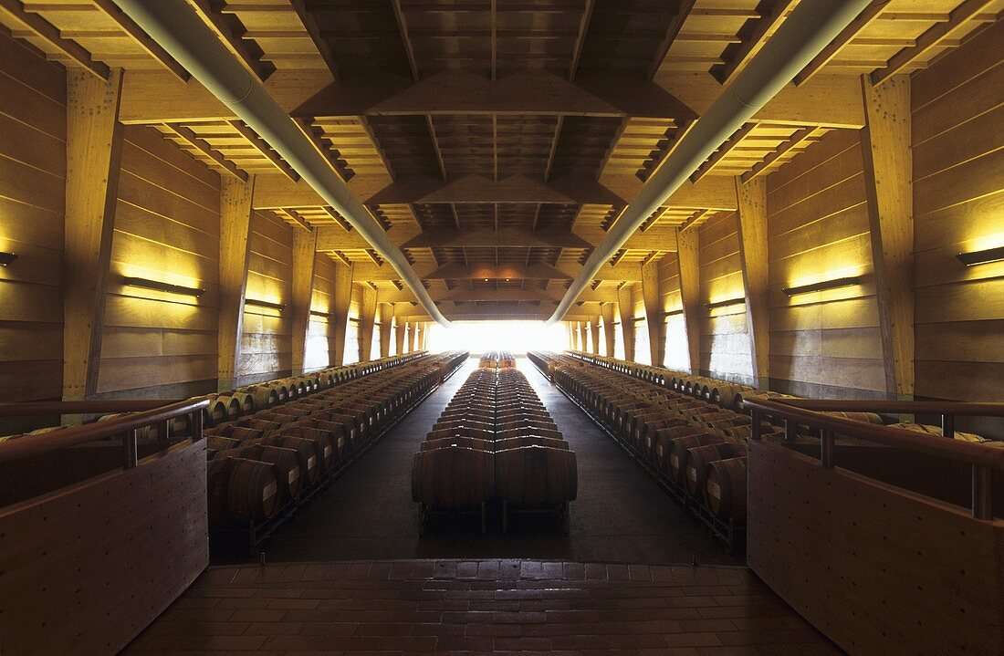 Wine cellar of Almaviva Winery, Maipo Valley, Chile