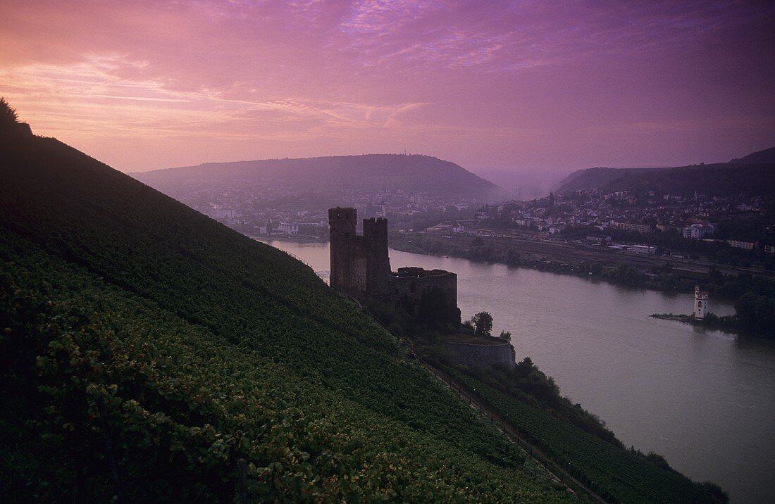 'Rüdesheimer Berg Schlossberg' single vineyard site, Rüdesheim, Germany