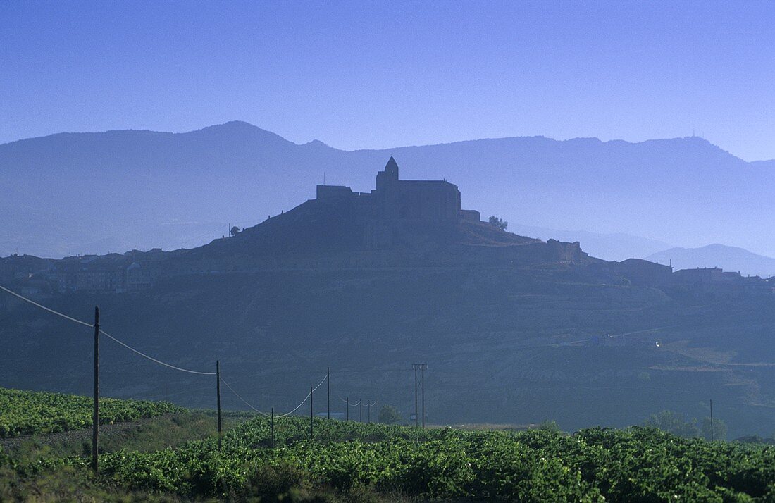 Blick auf San Vicente de la Sonsierra, Rioja alta, Rioja, Spanien