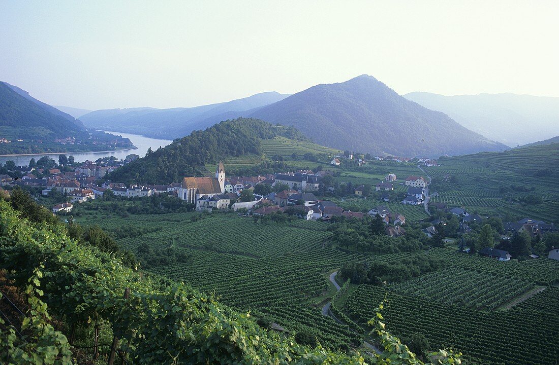 Spitz an der Donau, Wachau, Österreich