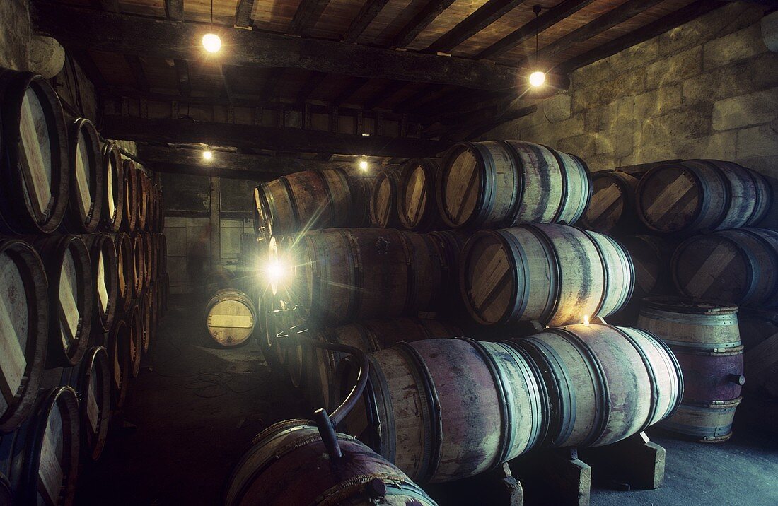 Wine cellar of Château Figeac, St. Emilion, Bordeux