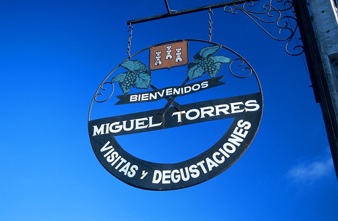 Miguel Torres Wines, Curico, Curico Valley, Chile