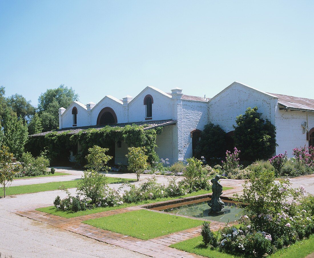 Viña Errázuriz Estate, Panquehue, Aconcagua Valley, Chile