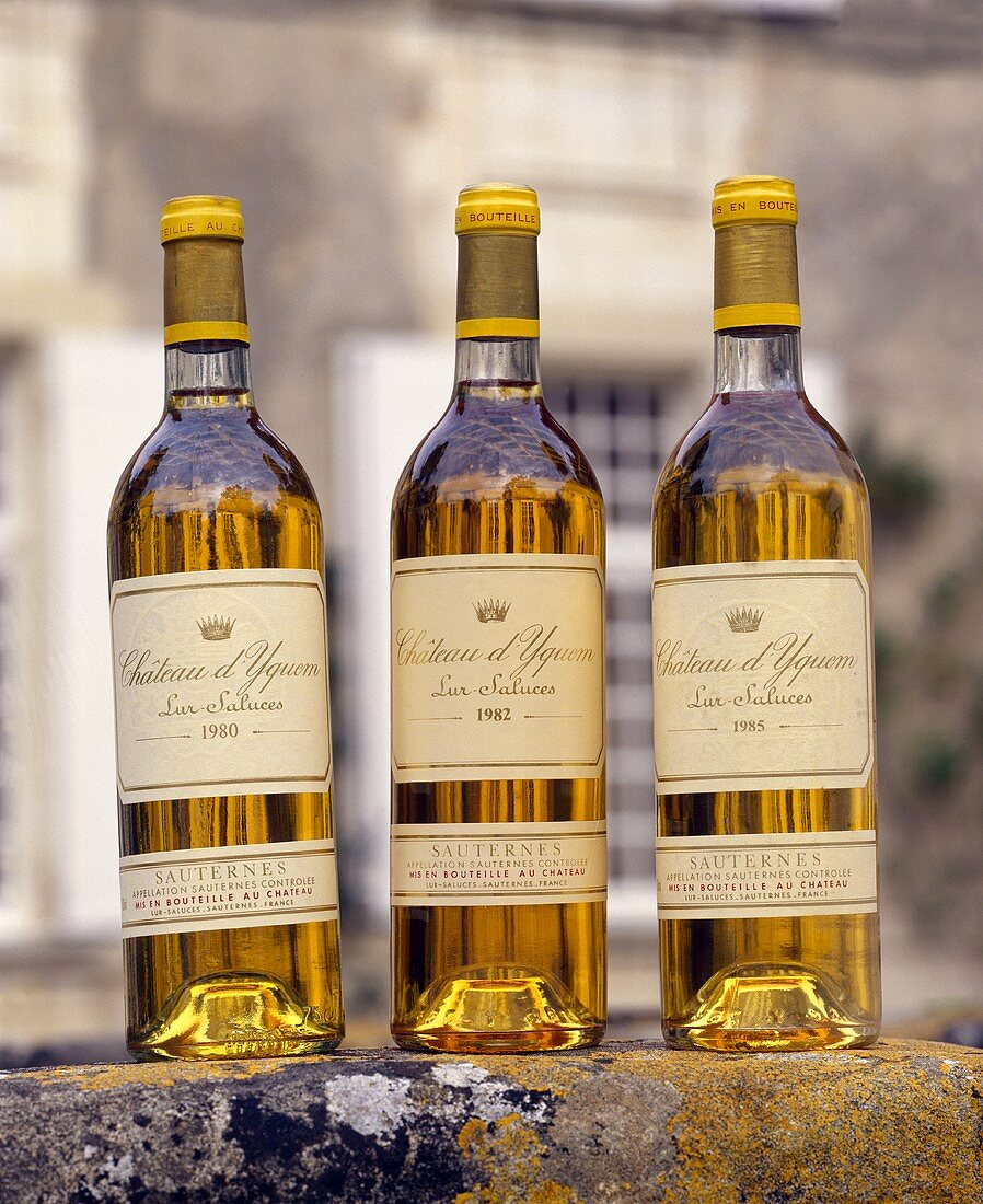 Weinflaschen vom Château d'Yquem, Sauternes, Gironde, Frankreich