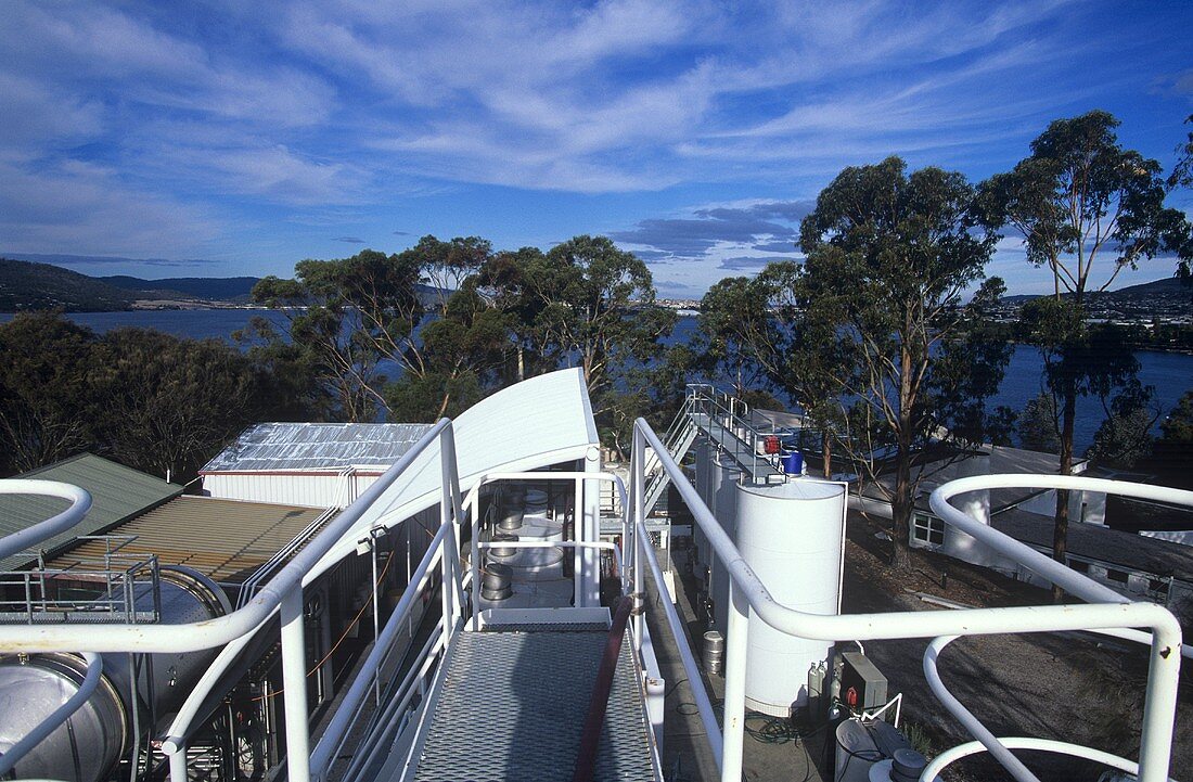 Das Weingut Moorilla, Hobart, Tasmanien