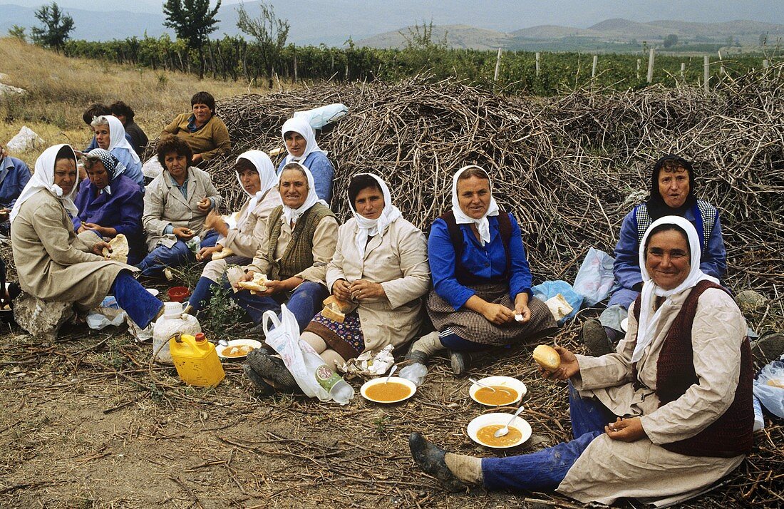 Meal break during grape harvest in Macedonia