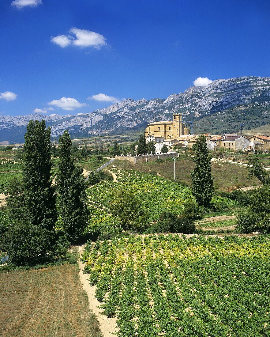 View of vine-covered hills, Samaniego, Rioja, Alavesa, Spain