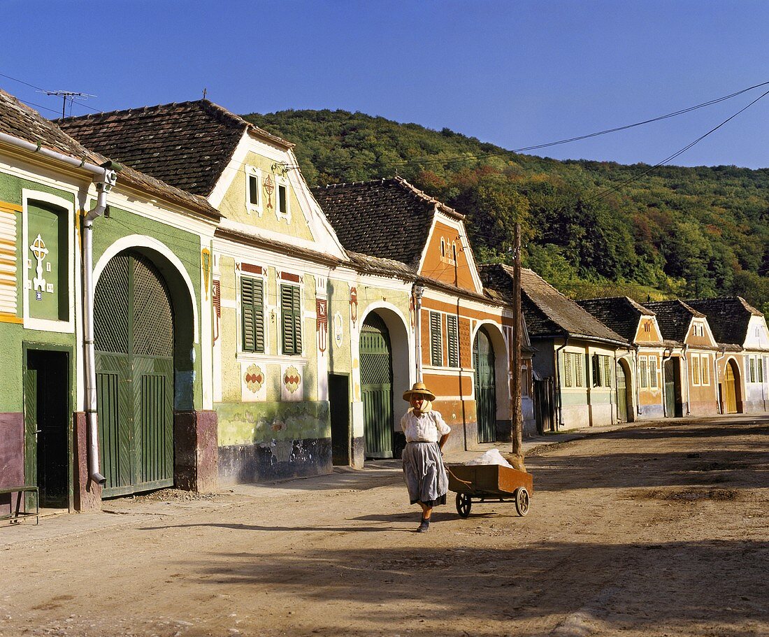 Traditionelle Häuser bei Tirnaveni, Siebenbürgen, Rumänien