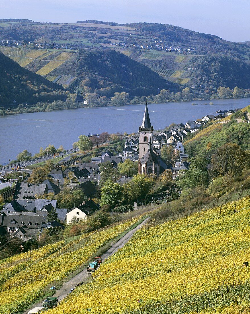 View of Lorch, Rheingau, Germany