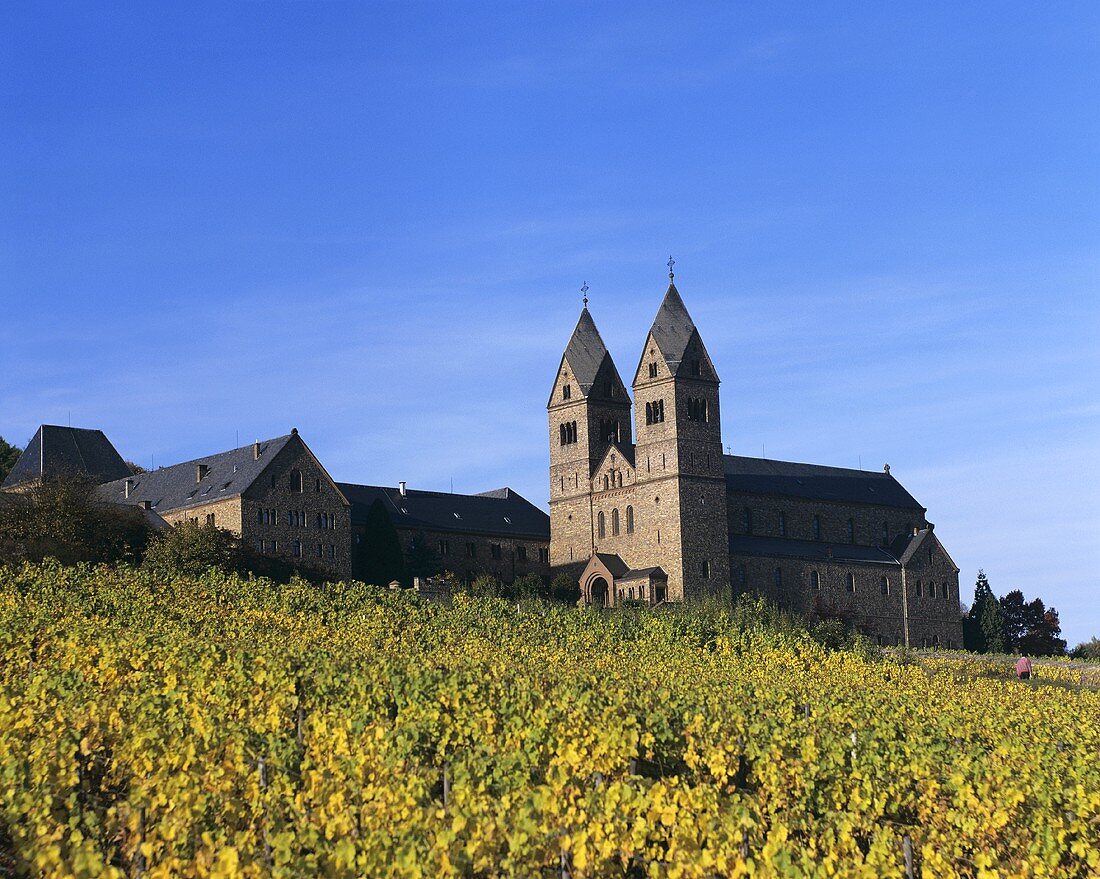 Vineyard next to Abbey of St. Hildegard, Rüdesheim, Germany