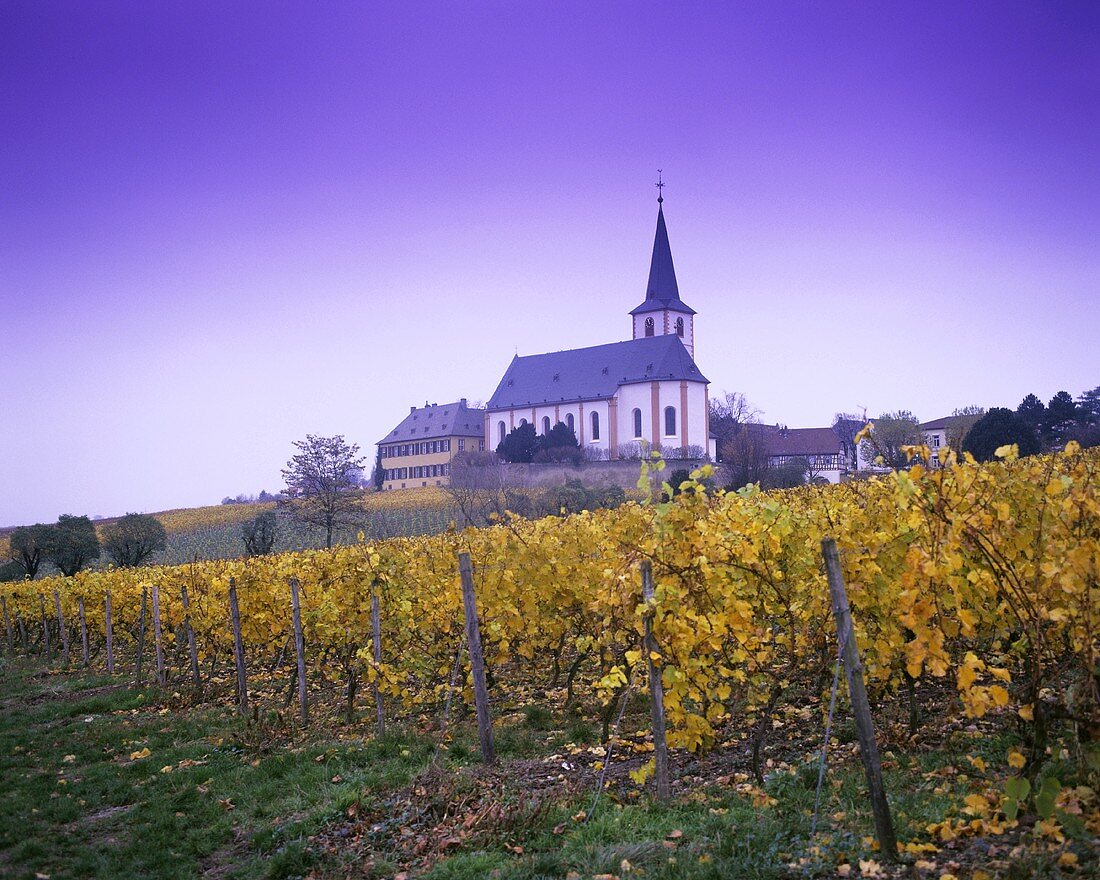 'Hochheimer Kirchenstück' individual vineyard site, Hochheim, DE