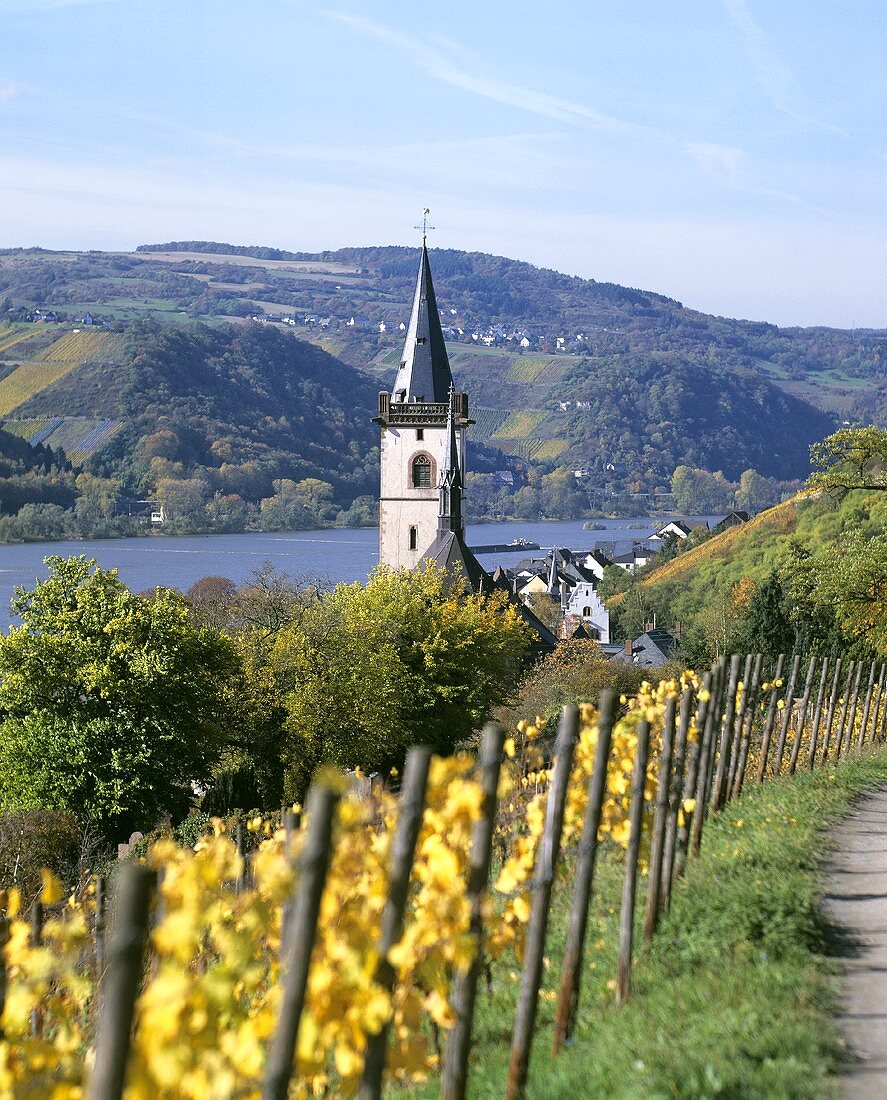 Blick über Lorch am Rhein, Rheingau, Deutschland