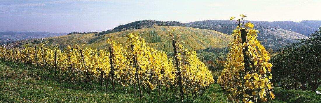 'Stettener Häder', Stetten, Remstal, Deutschland