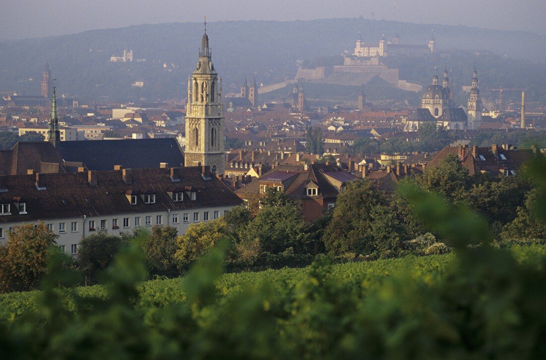 Blick vom Rebberg 'Stein' auf Würzburg, Deutschland