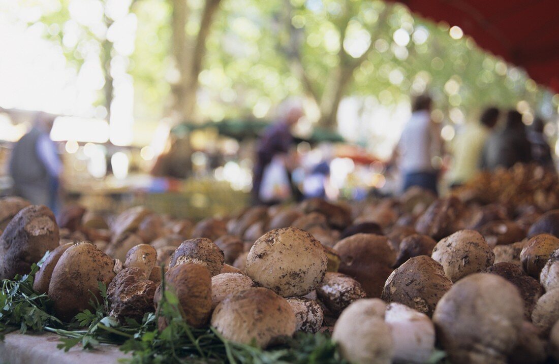 Fresh ceps on a market stall, Arles, Provence, France