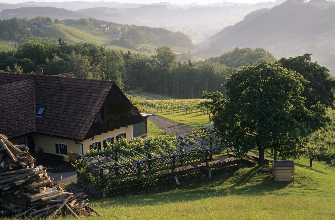 Buschenschank (wine tavern), Gut Schererkogl, Gamlitz, Styria, Austria