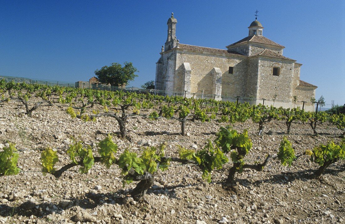 Monastery church, Hacienda Monasteria, Pesquera del Duero, Spain