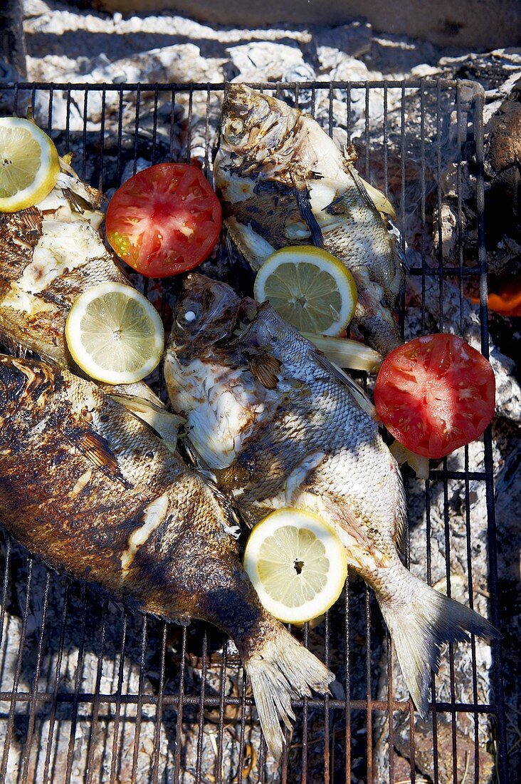 Grilled bass with lemons and tomatoes