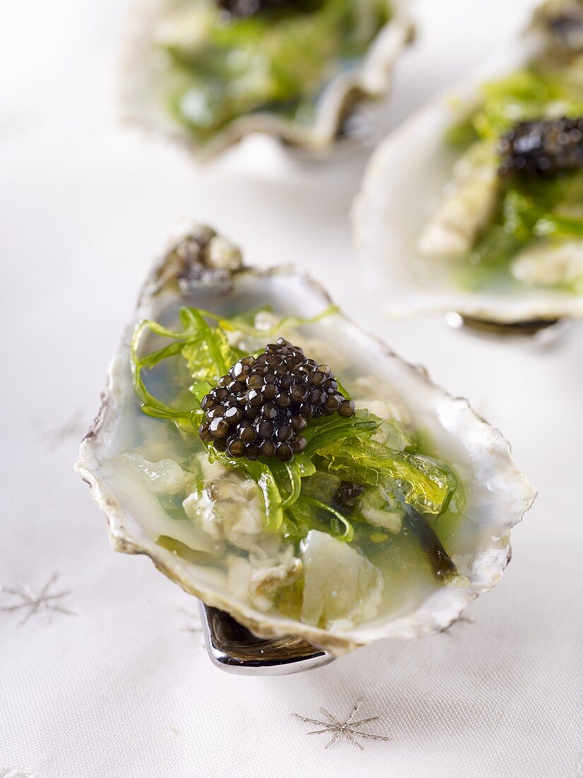 Oysters with algae and caviar