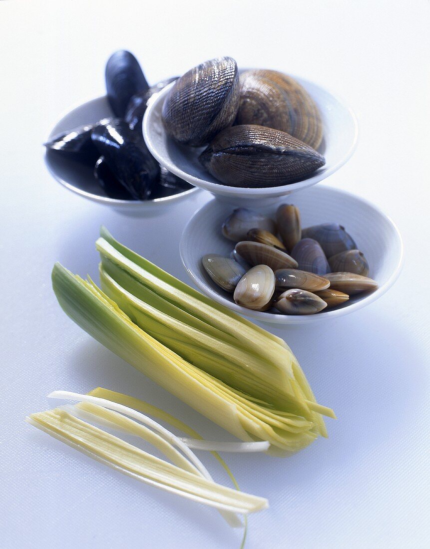 Various fresh mussels and leek