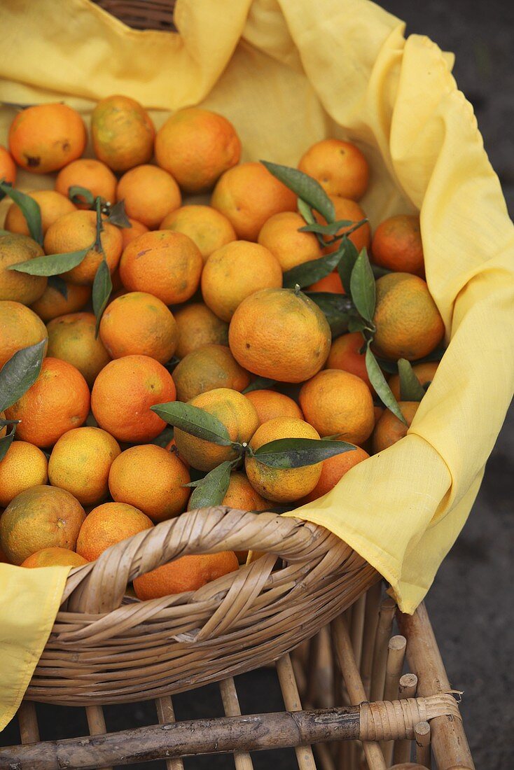 Mandarins from Beirut in a basket
