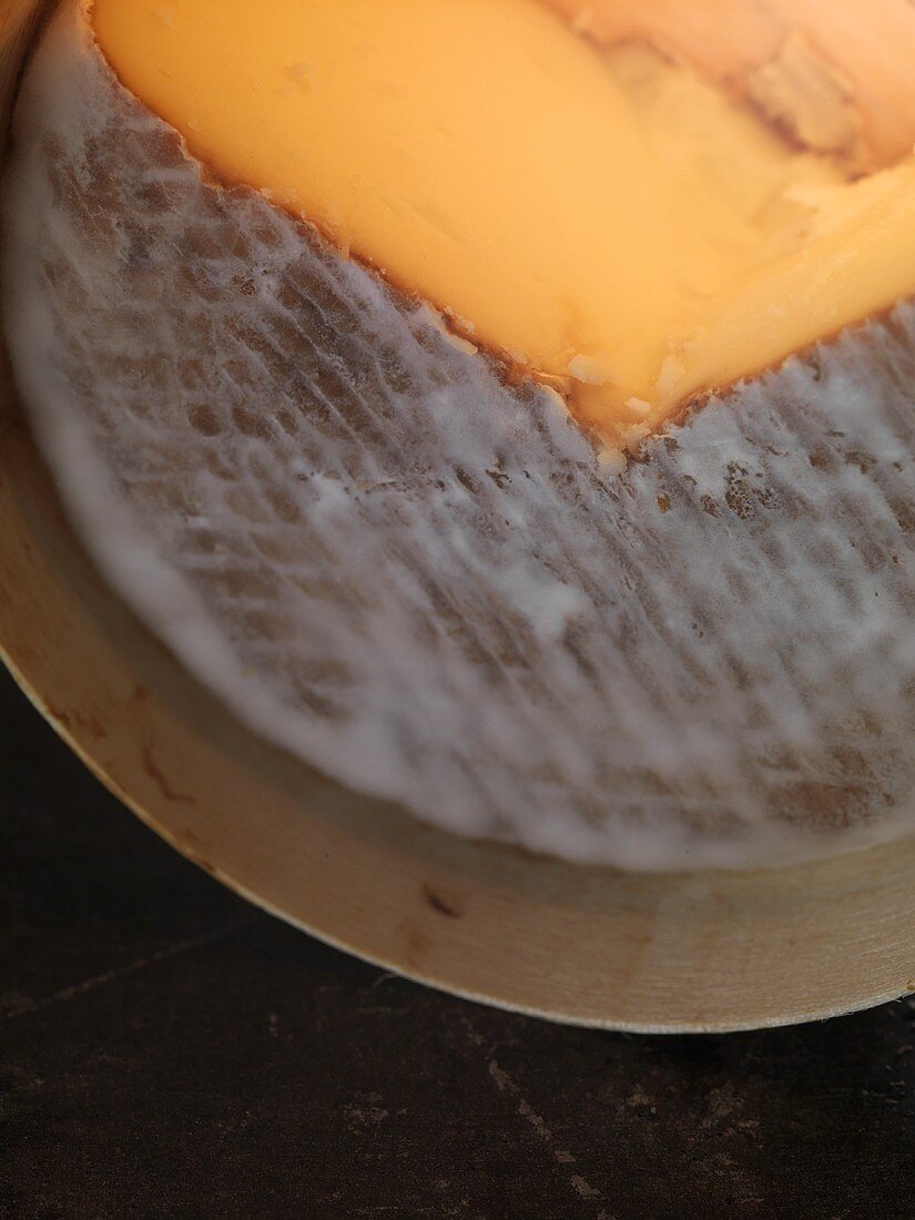 Mont d'Or Brebis (sheep's cheese from France)