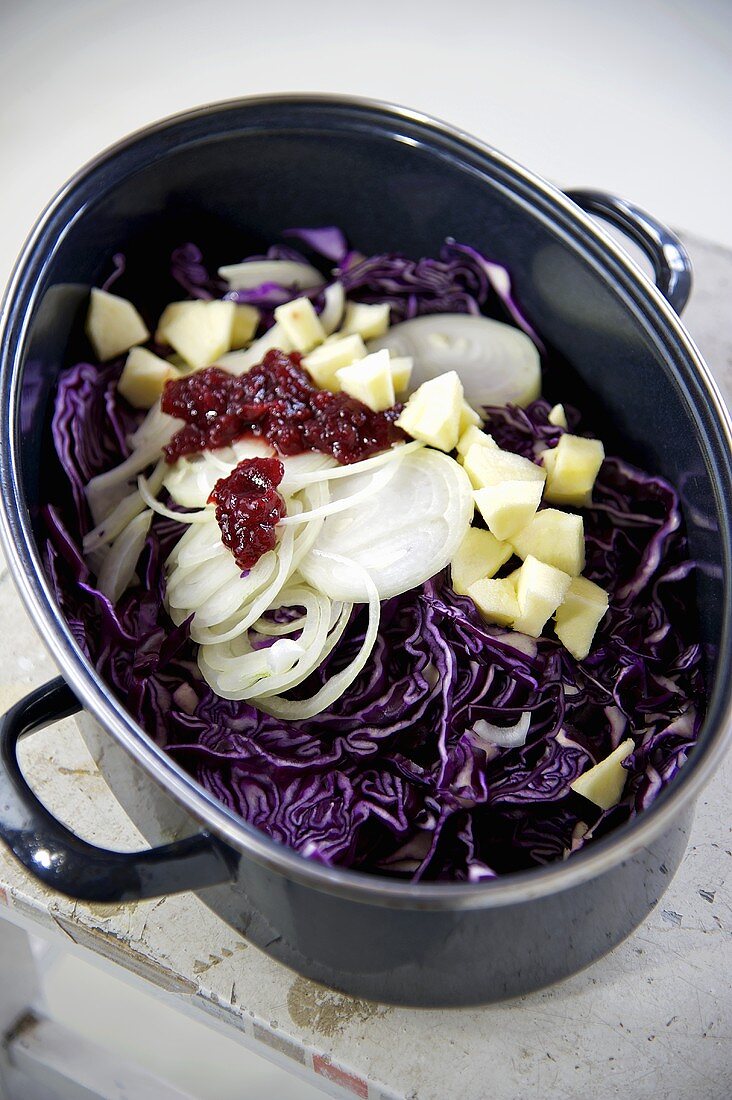 Ingredients for apple-red cabbage (red cabbage, onions, apple, cranberry sauce) in a pot