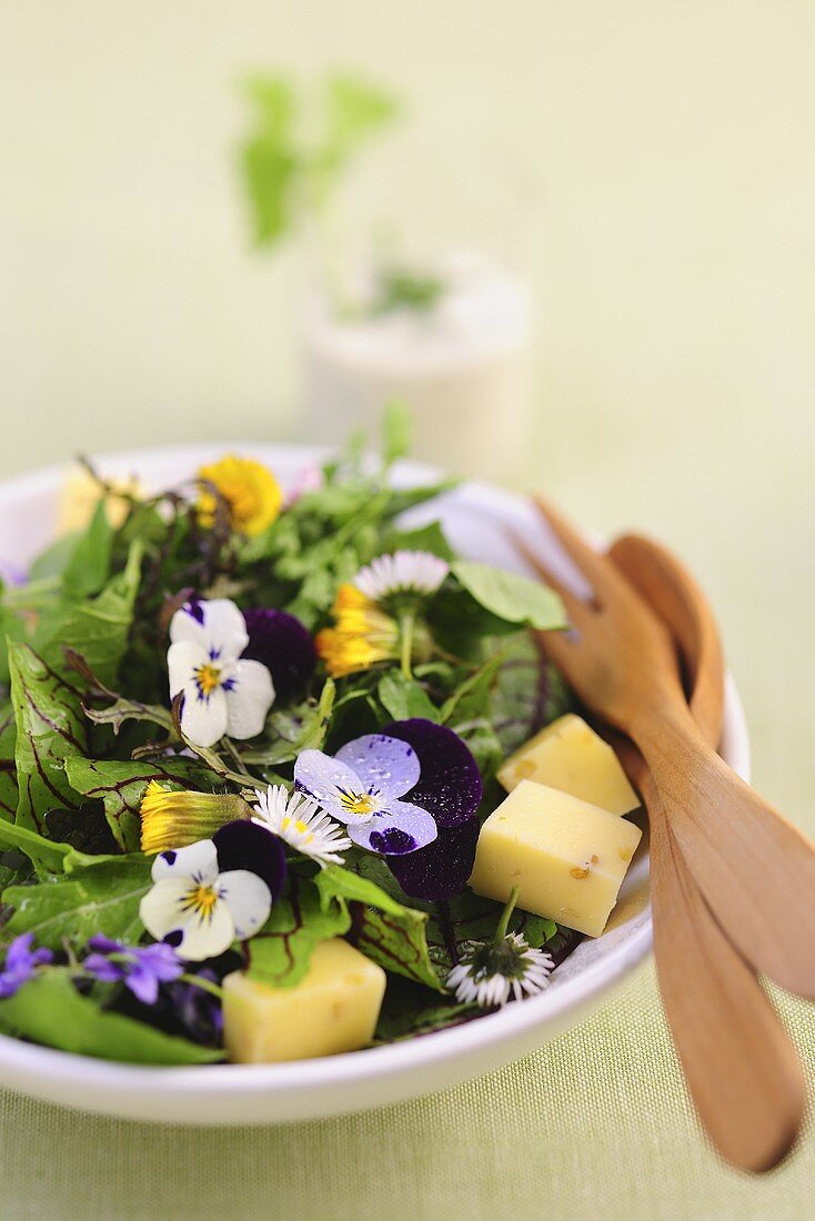 Spring salad with edible flowers and cheese