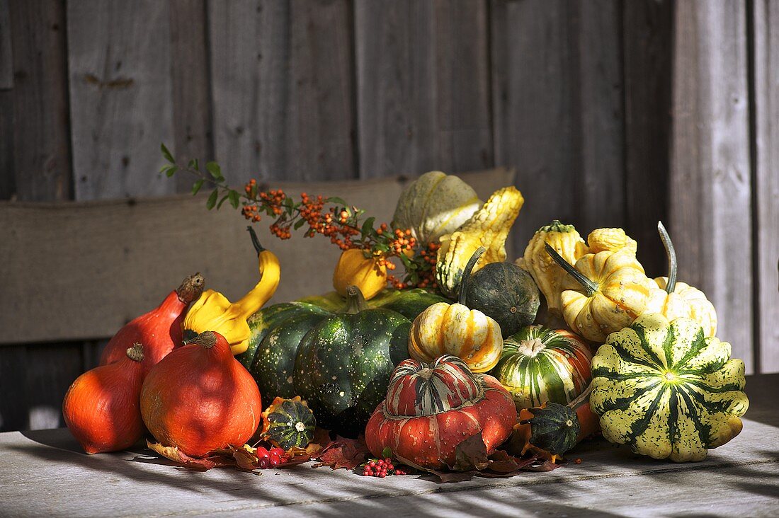 Various types of pumpkin on a wooden table