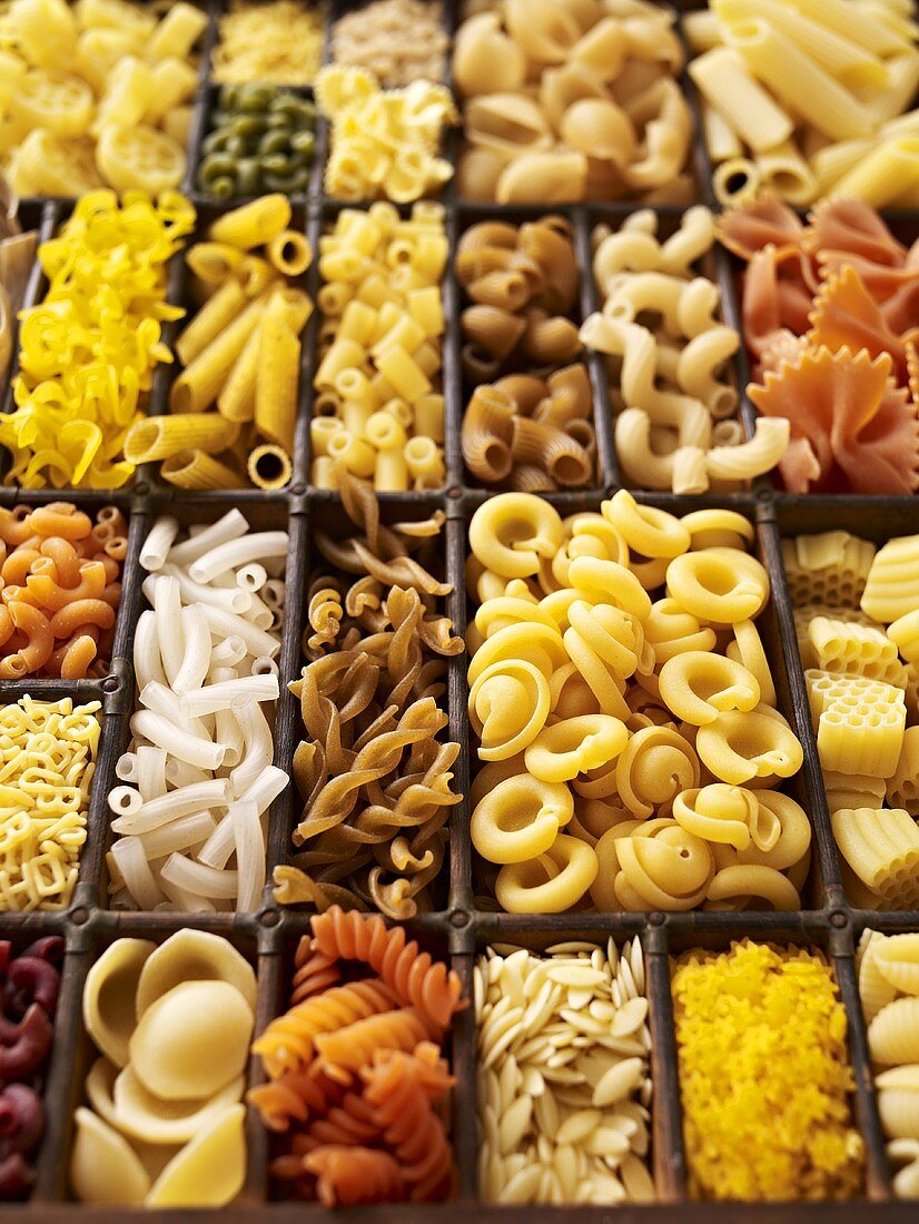 A seedling tray filled with various types of pasta