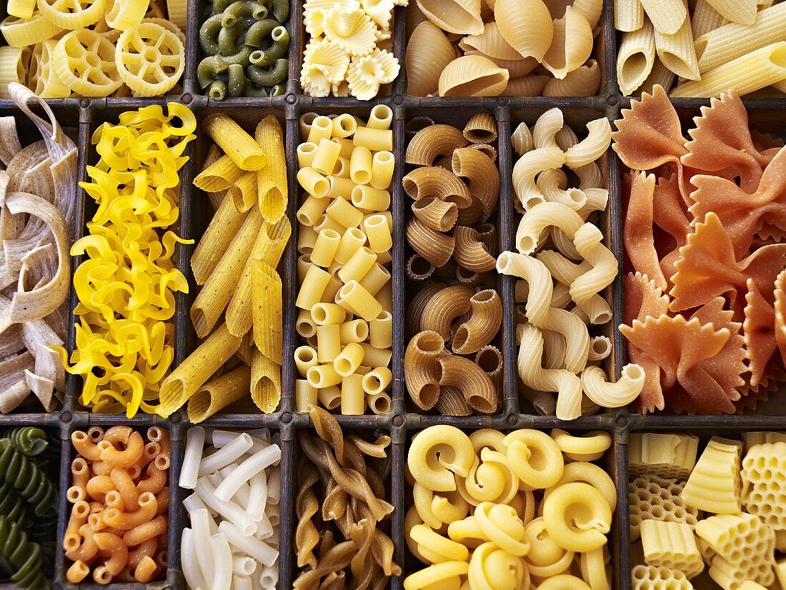 A seedling tray filled with various types of pasta