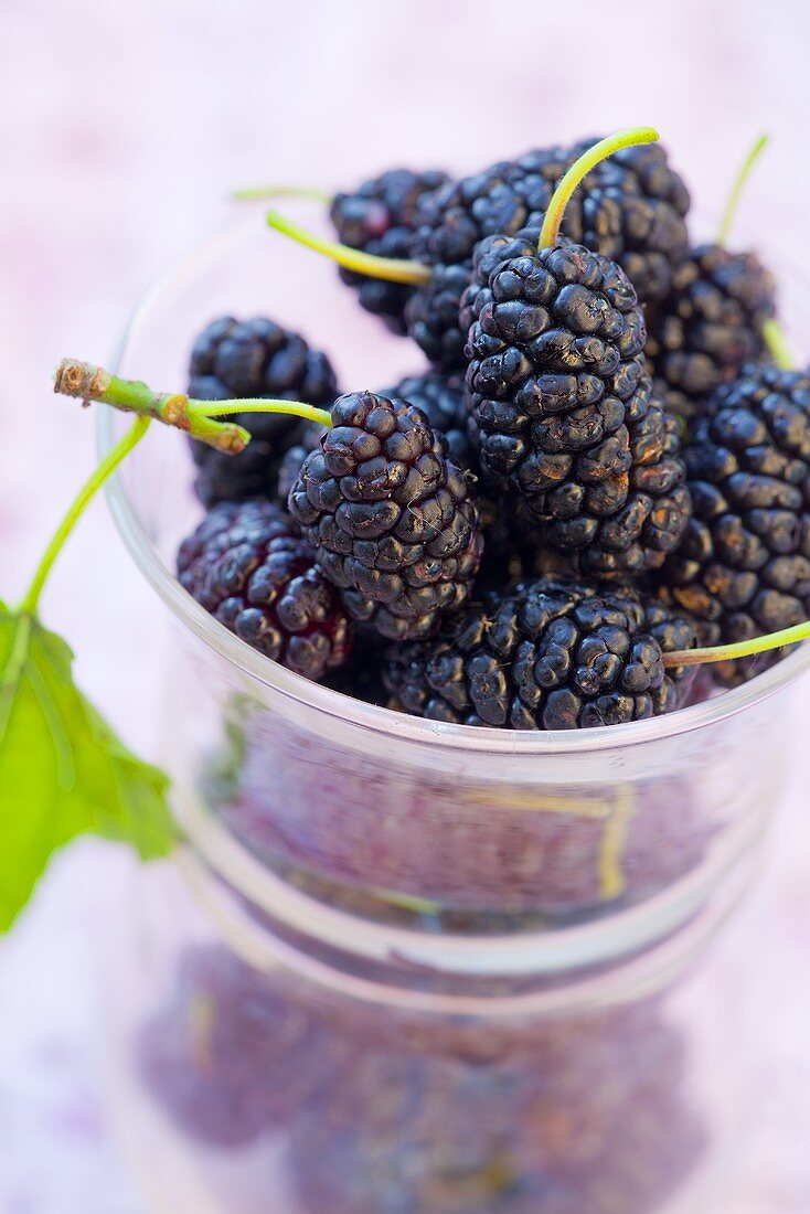 Blackberries in a small bowl