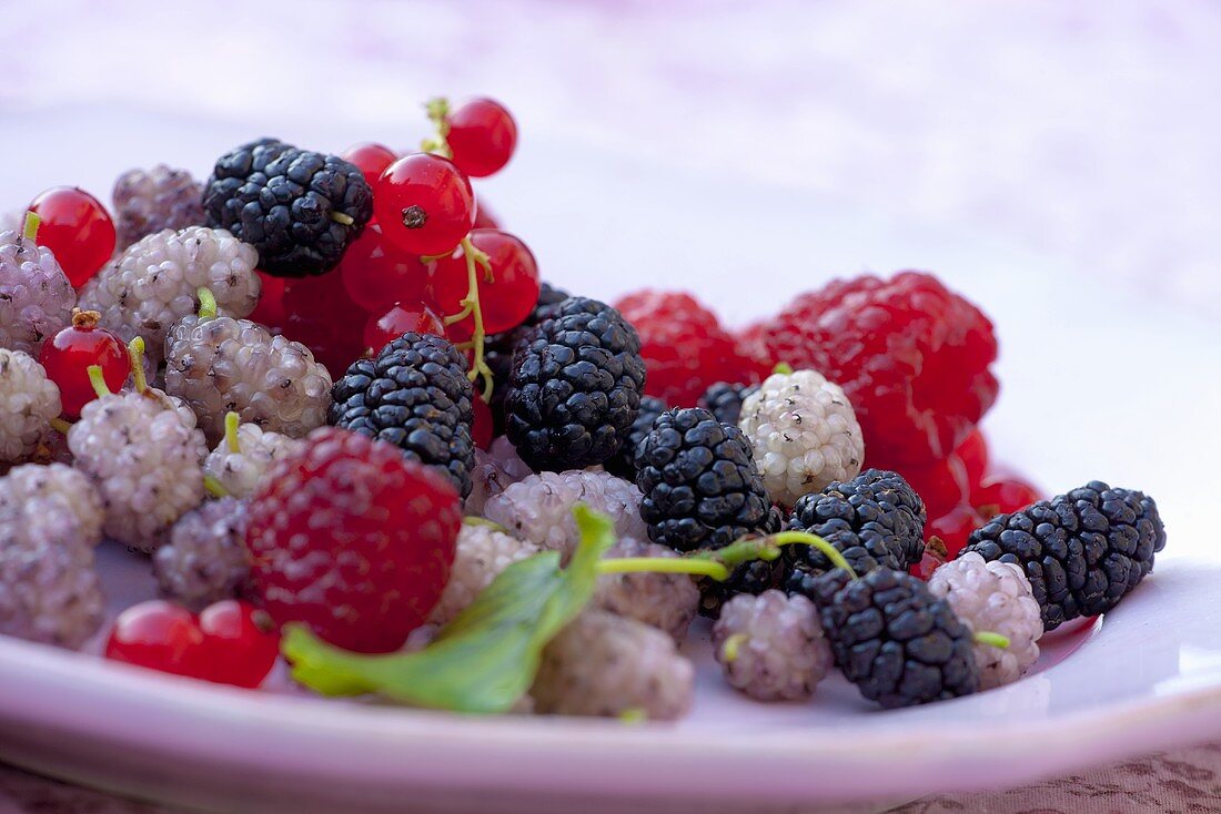 Verschiedene frische Beeren auf Teller (Nahaufnahme)