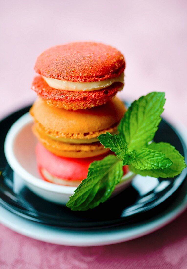 Bunte Macarons mit Minze dekoriert