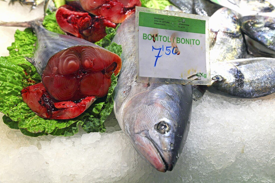 Frischer Thunfisch am Markt (Mercat de St. Josep (Boqueria), Ramblas, Barcelona, Spanien)