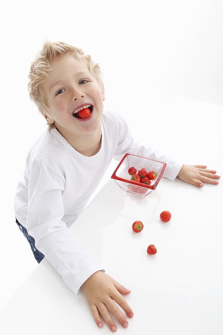 Kleiner Junge isst frische Erdbeeren